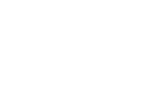 Australian Literacy & Numeracy Foundation